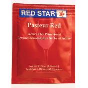 red-star-pasteur-red.jpg